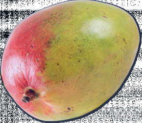 Mangos | Trader Joe's