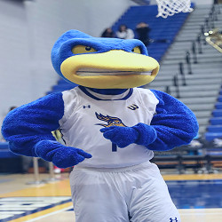 Rowdy The Mascot History - California State University at Bakersfield  Athletics