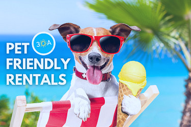 Pet-Friendly Vacation Rental Homes Along Florida's Scenic 30A - 30A