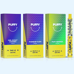 PUFFY Delta 8 Disposable Vape 3G